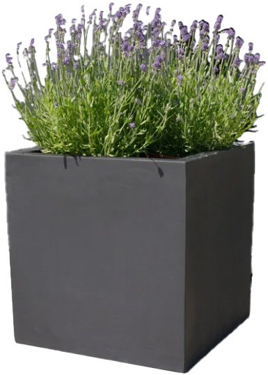 Revox Botanic 50-2c /Stück Lautsprecher anthrazit