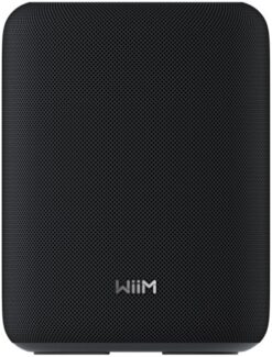 WiiM Sound Lite Smart Speaker schwarz
